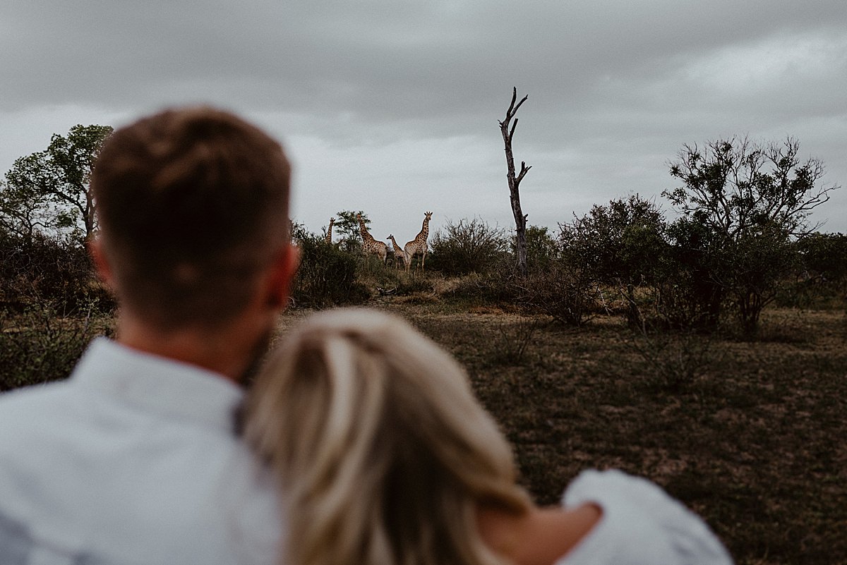 bride and groom watching giraffe