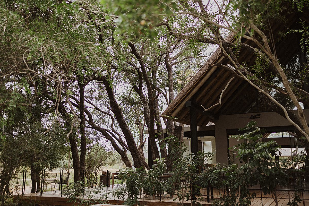 Monwana Luxury Game Lodge near Hoedspruit has a natural setting in-between nature.